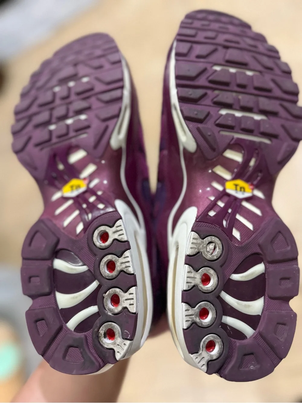 Nike Air Max Plus TN